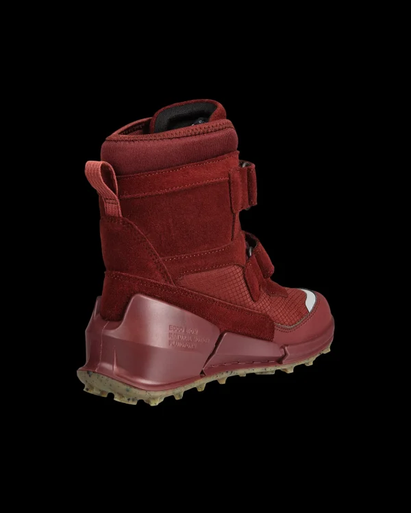 ECCO BIOM K2