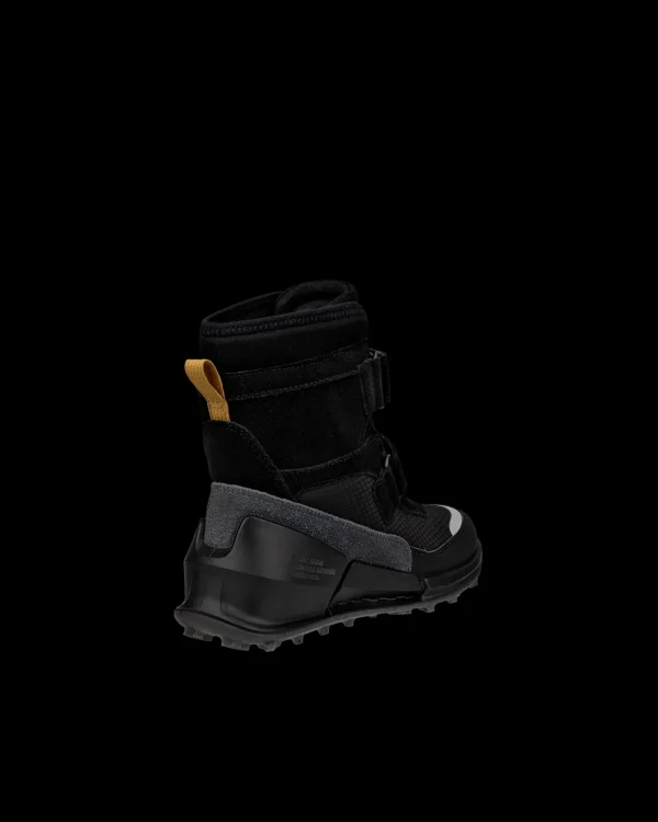 ECCO BIOM K2