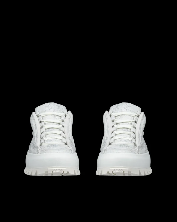 ECCO STREET ACE RAL7000 M