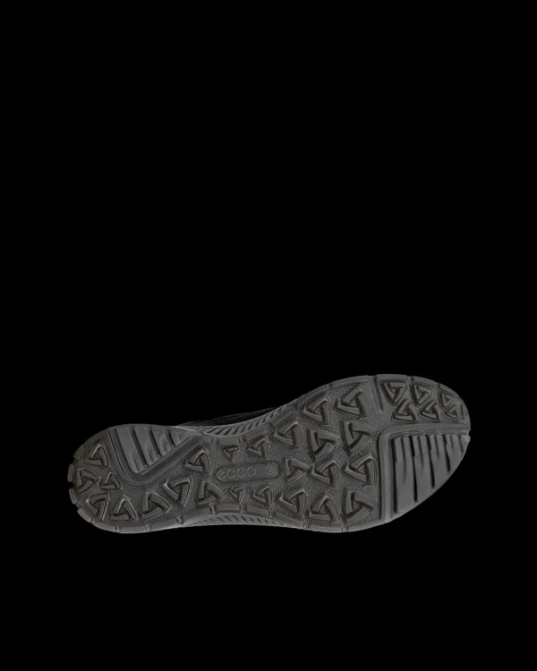 ECCO TERRACRUISE II W